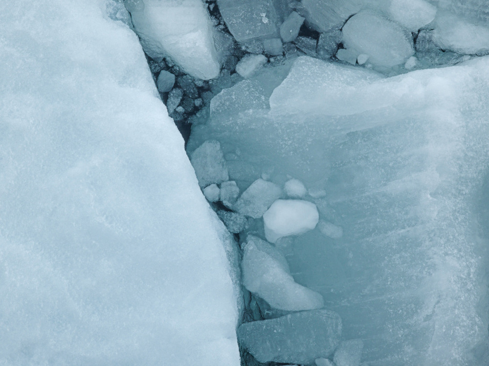 Арктика в фотографиях Дайан Тафт  14