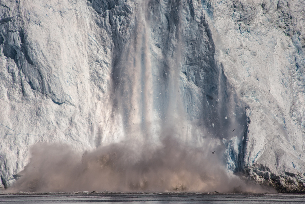 Арктика в фотографиях Дайан Тафт  19
