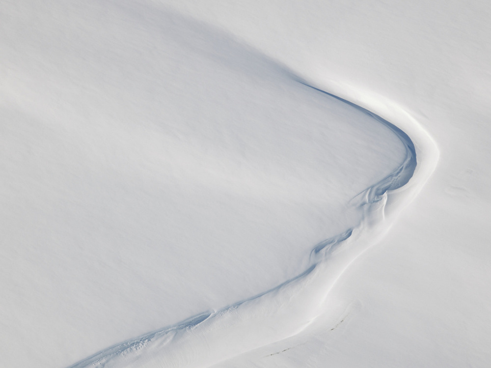 Арктика в фотографиях Дайан Тафт  5