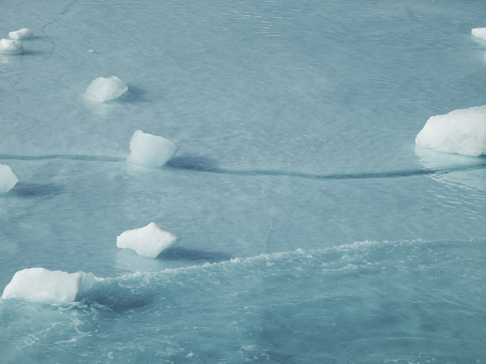 Арктика в фотографиях Дайан Тафт  7