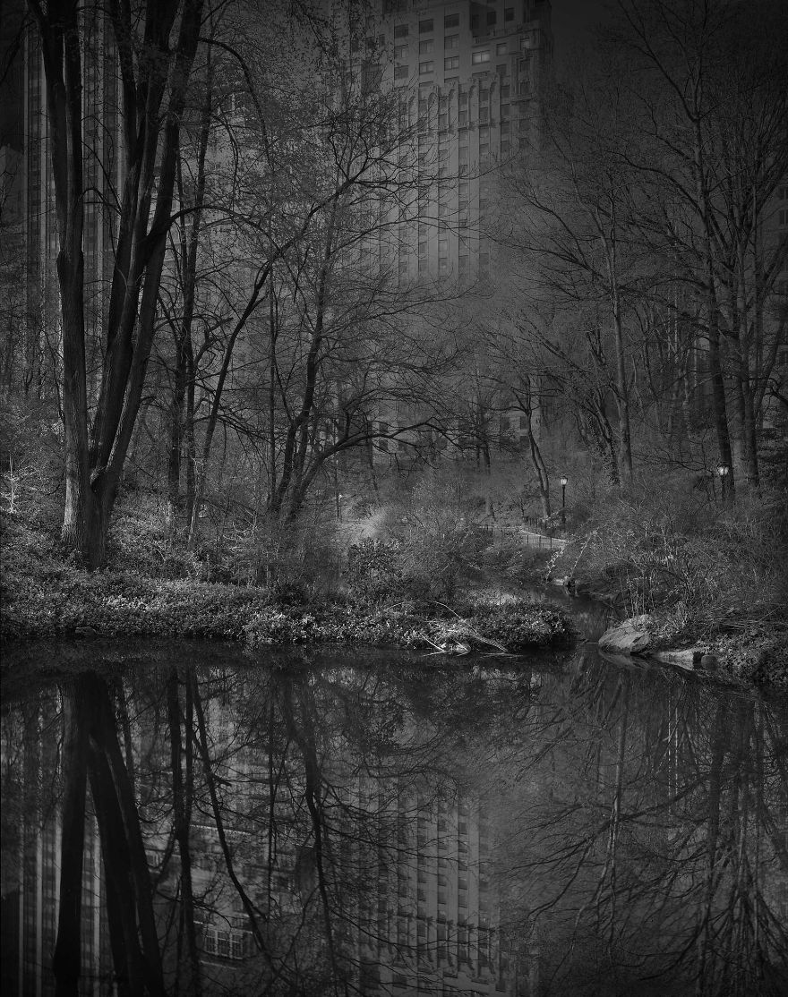 «В глубоком сне»: Центральный парк в фотографиях Майкл Массайа  10