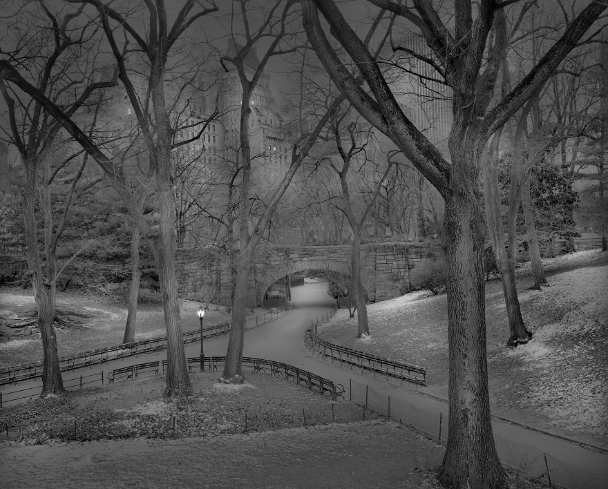 «В глубоком сне»: Центральный парк в фотографиях Майкл Массайа  15