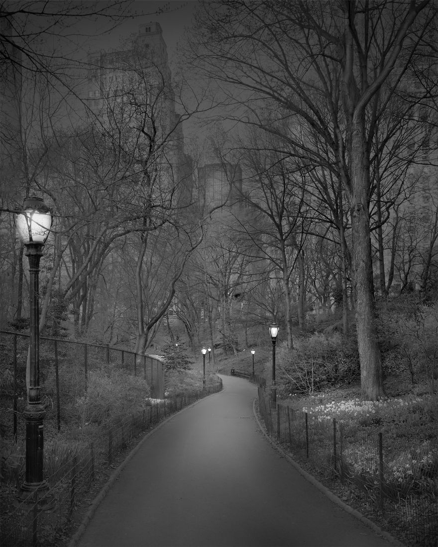 «В глубоком сне»: Центральный парк в фотографиях Майкл Массайа  16