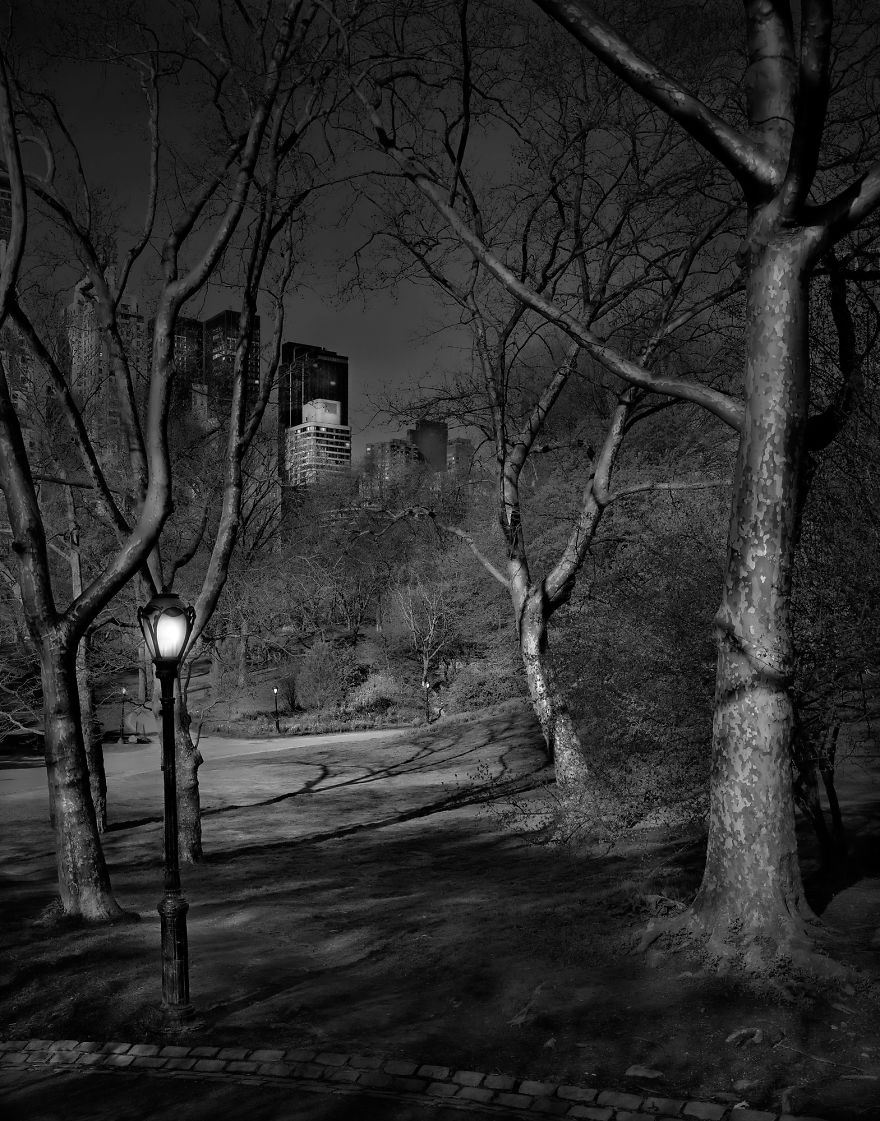 «В глубоком сне»: Центральный парк в фотографиях Майкл Массайа  17