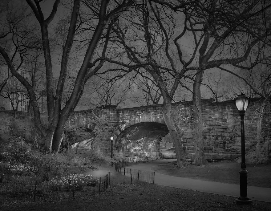 «В глубоком сне»: Центральный парк в фотографиях Майкл Массайа  2