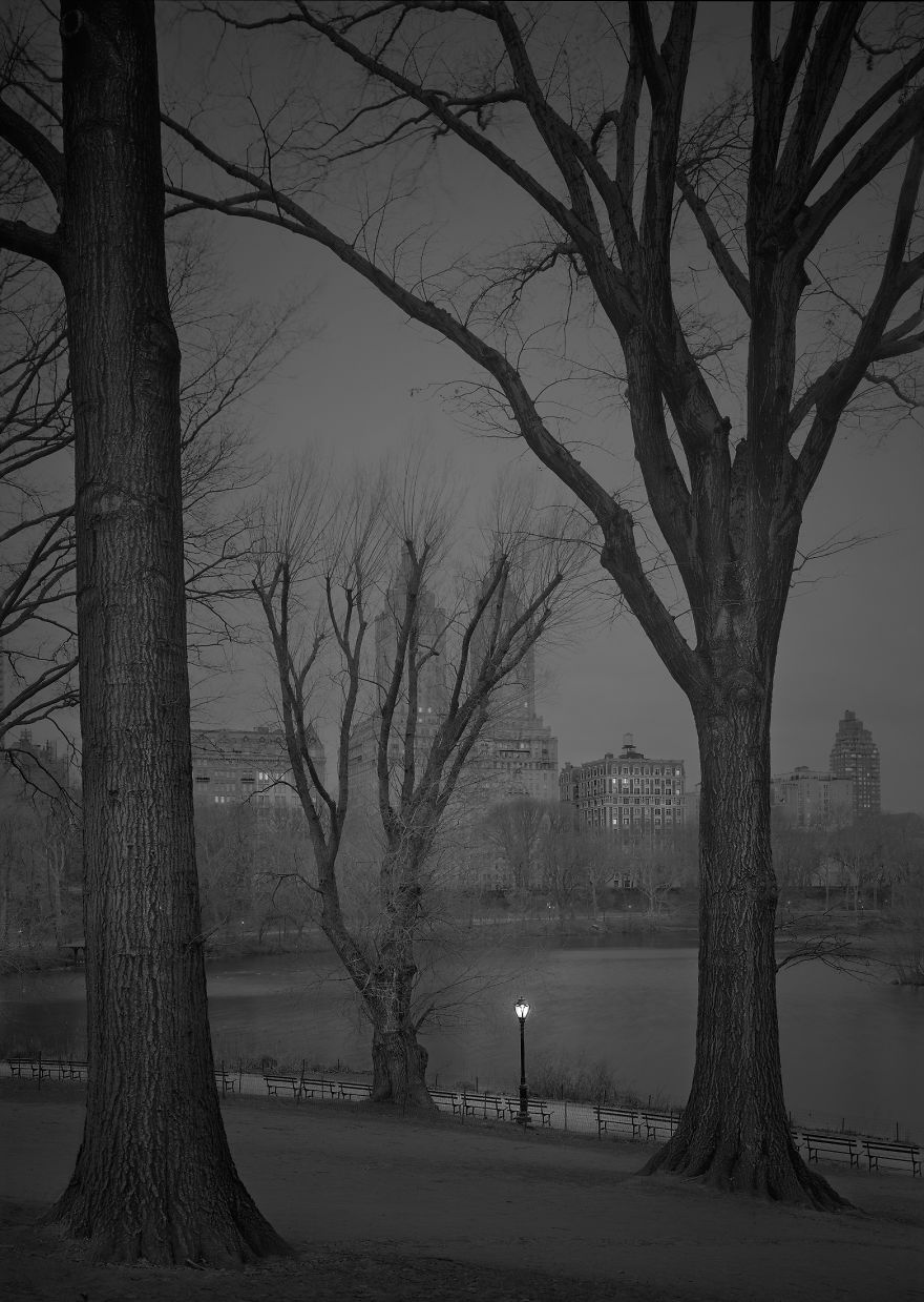«В глубоком сне»: Центральный парк в фотографиях Майкл Массайа  22
