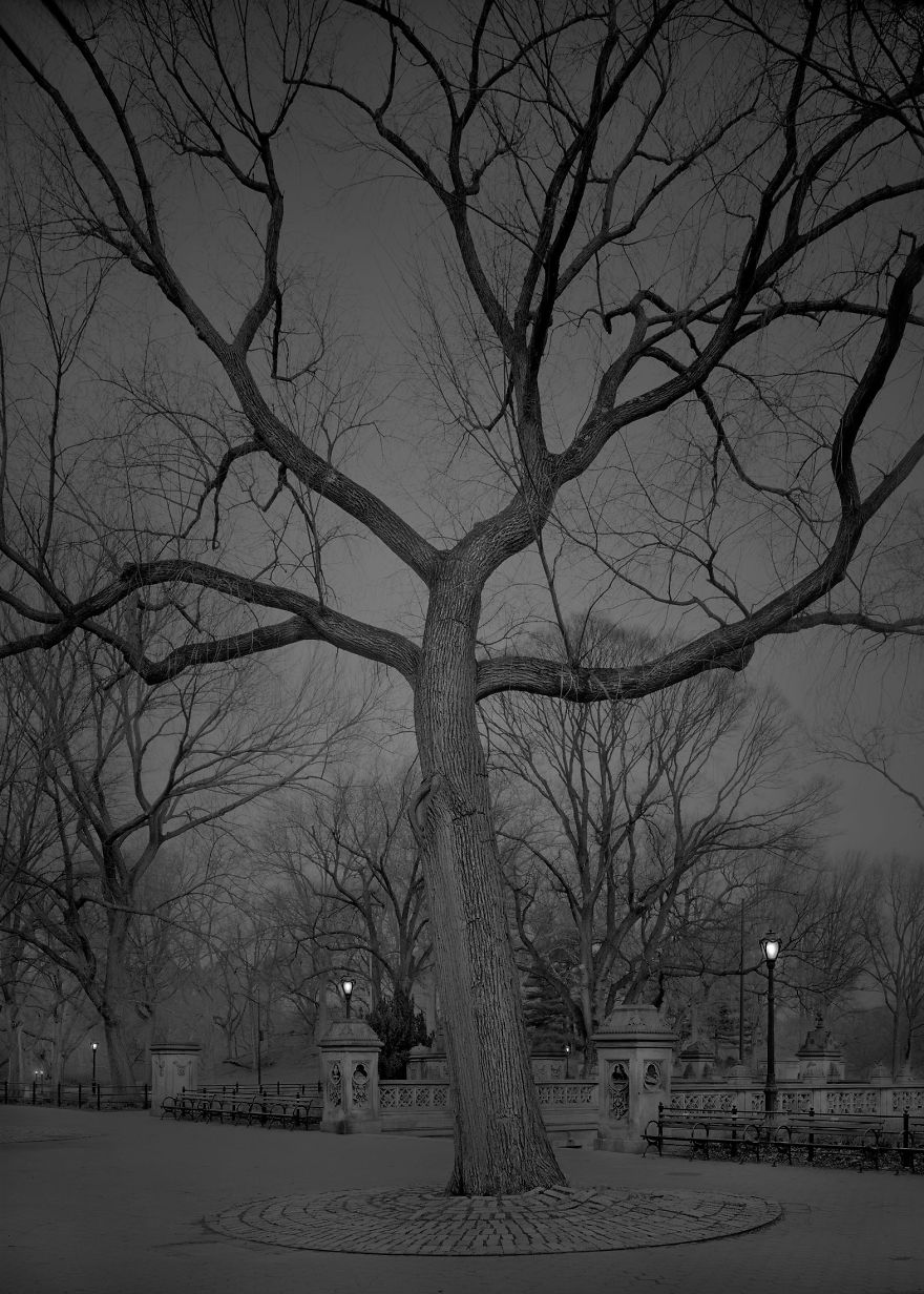«В глубоком сне»: Центральный парк в фотографиях Майкл Массайа  23