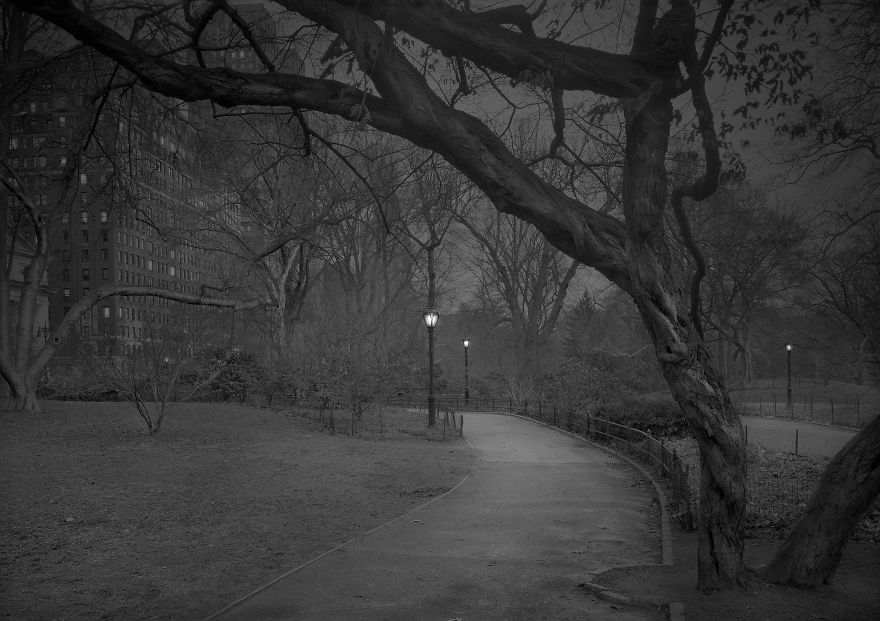 «В глубоком сне»: Центральный парк в фотографиях Майкл Массайа  24