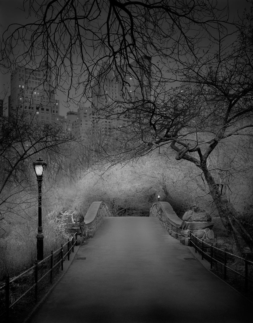 «В глубоком сне»: Центральный парк в фотографиях Майкл Массайа  3