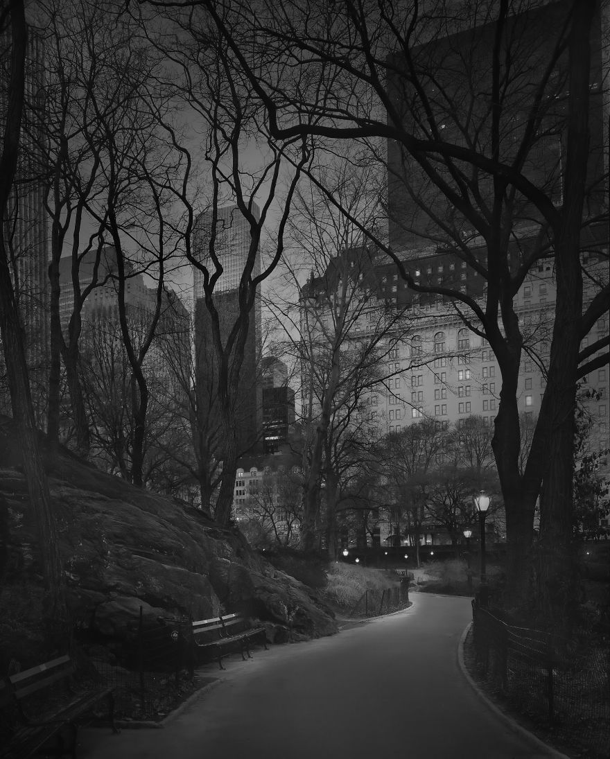 «В глубоком сне»: Центральный парк в фотографиях Майкл Массайа  36