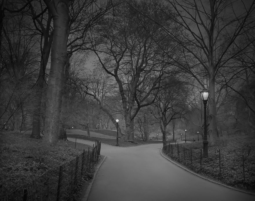 «В глубоком сне»: Центральный парк в фотографиях Майкл Массайа  5