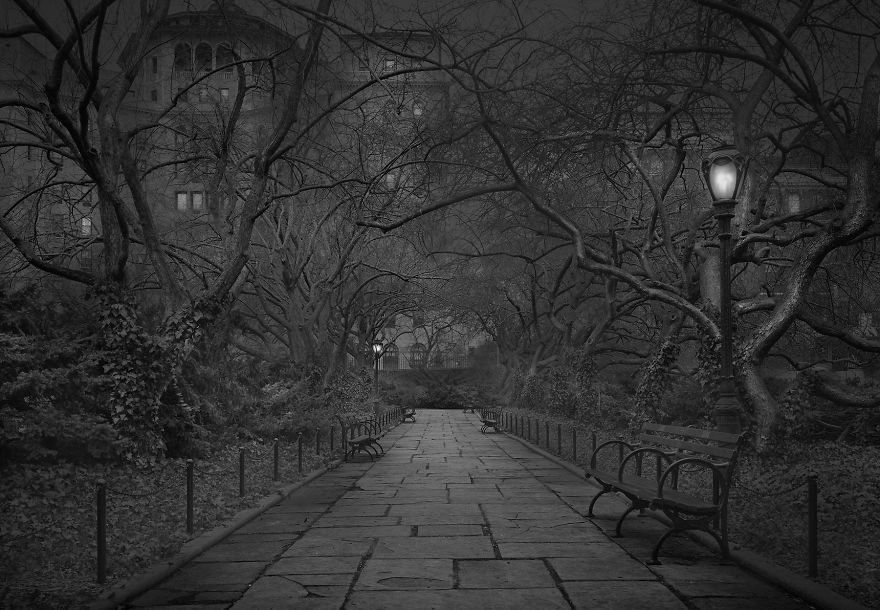 «В глубоком сне»: Центральный парк в фотографиях Майкл Массайа  7