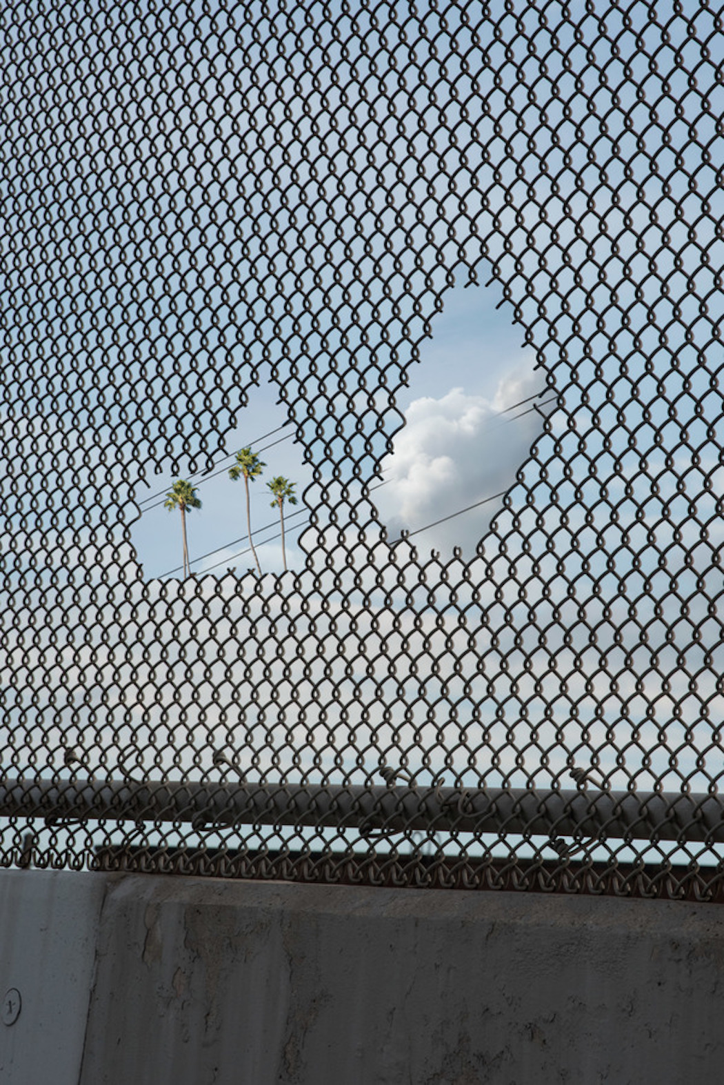 Бруклинский фотограф КанХи Ким ищет сюрпризы на городских улицах  20