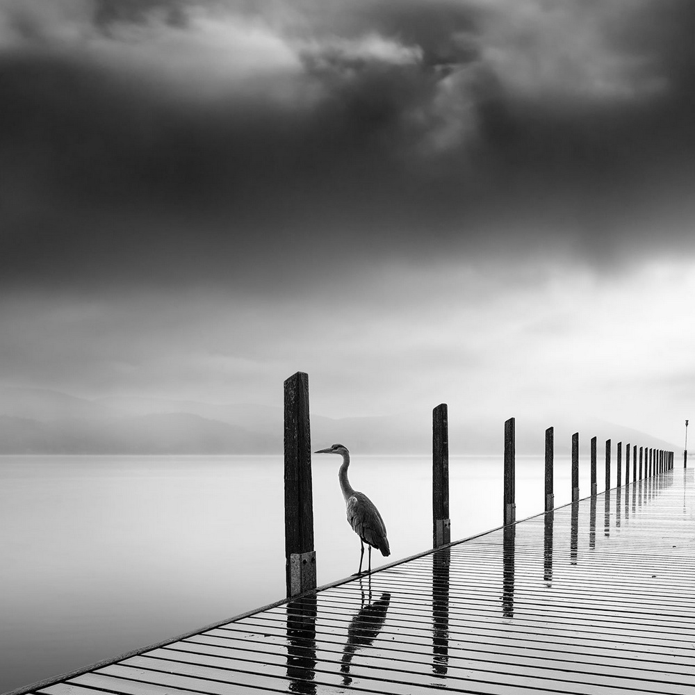 Чёрно-белые пейзажи, уходящие за пределы реальности. Фотограф Джордж Дигалакис 21