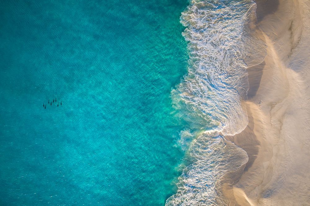 Океан, дельфины и пляж в Австралии