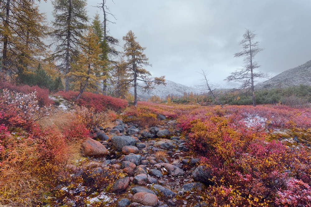 Осенняя Колыма, туманы Приморья, озёра и горы в пейзажных фотографиях Тони Андреевой  12