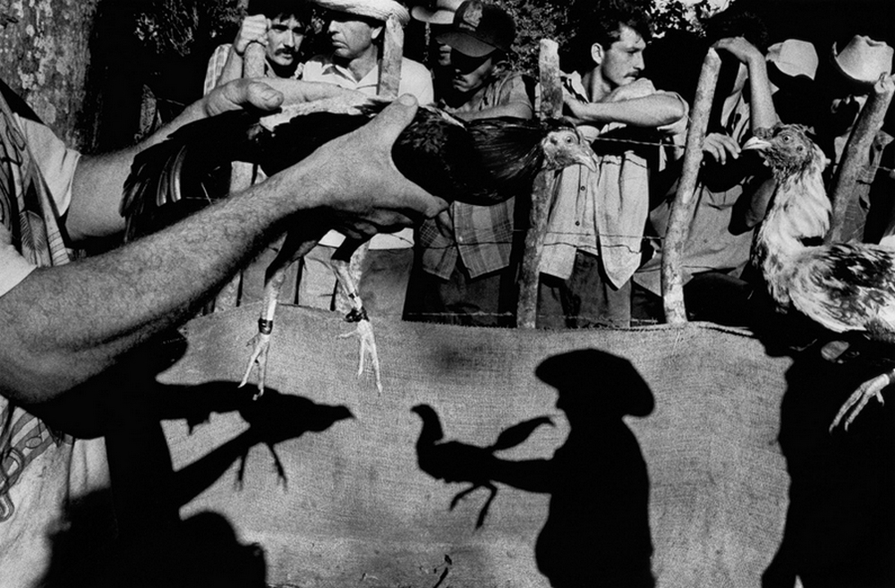 Кубинская трилогия фотографа Эрнесто Базана  40