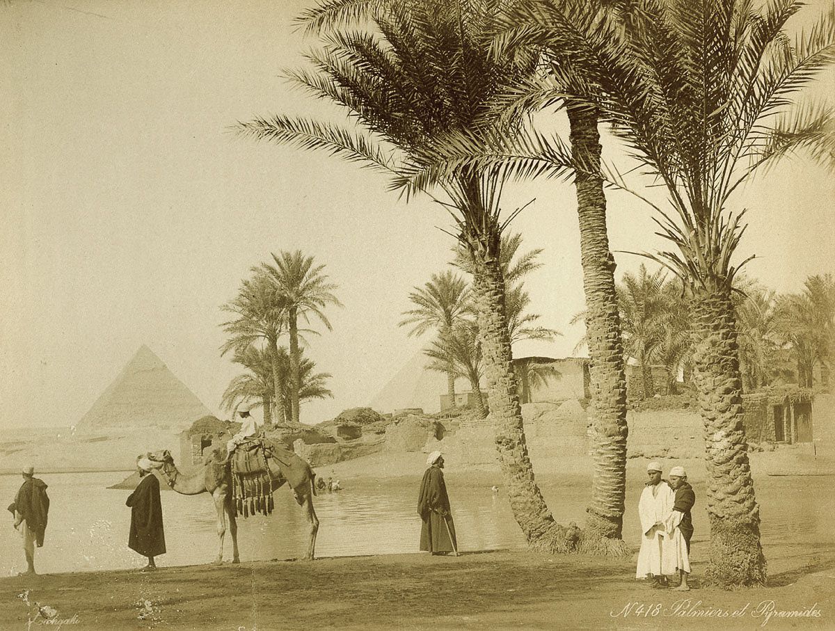 Древние чудеса Египта, его жители и туристы в 1800-х годах на фотографиях братьев Зангаки  23