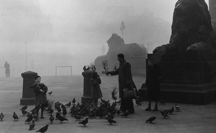 Фотографии загадочного туманного Лондона в начале 20-го века 15
