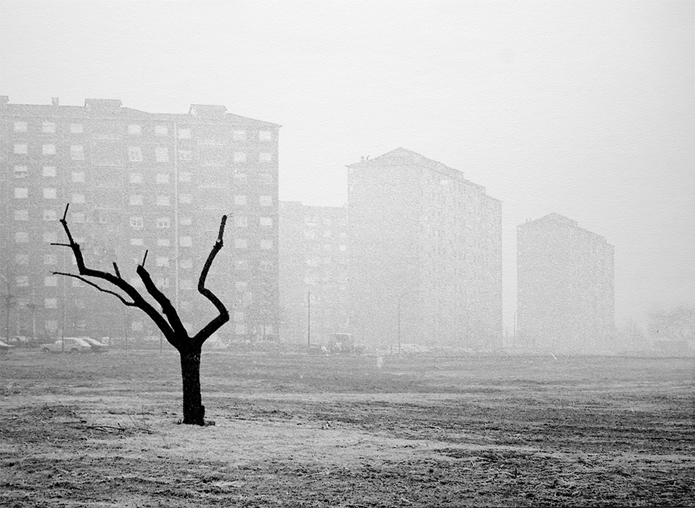 fotograf-Augusto-Kantamessa 4