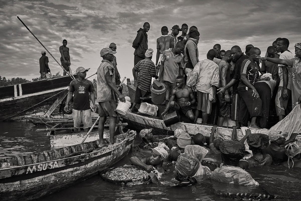 Лучшие фотографии из Африки: финалисты конкурса CAP Prize 2018 11