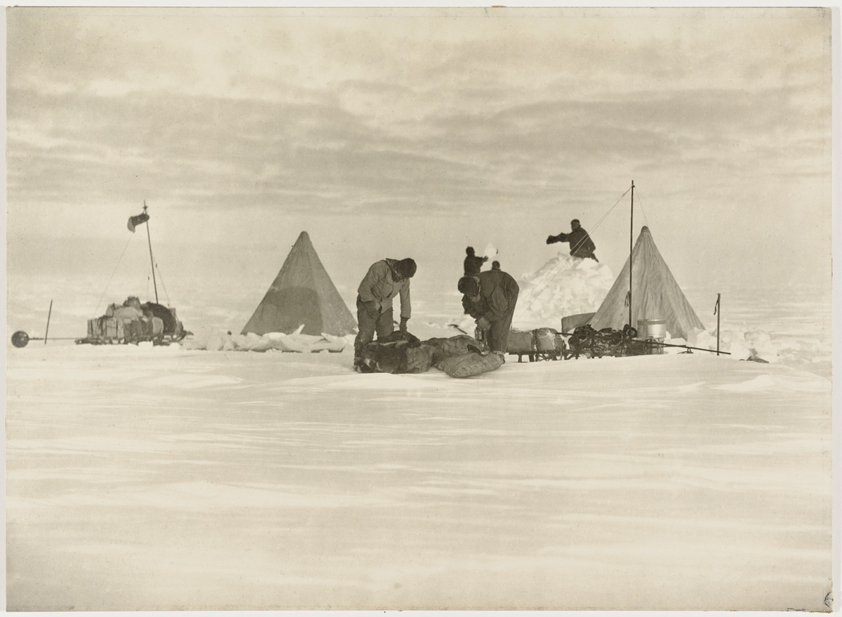 Первая Австралийская антарктическая экспедиция в фотографиях Фрэнка Хёрли 1911-1914 4