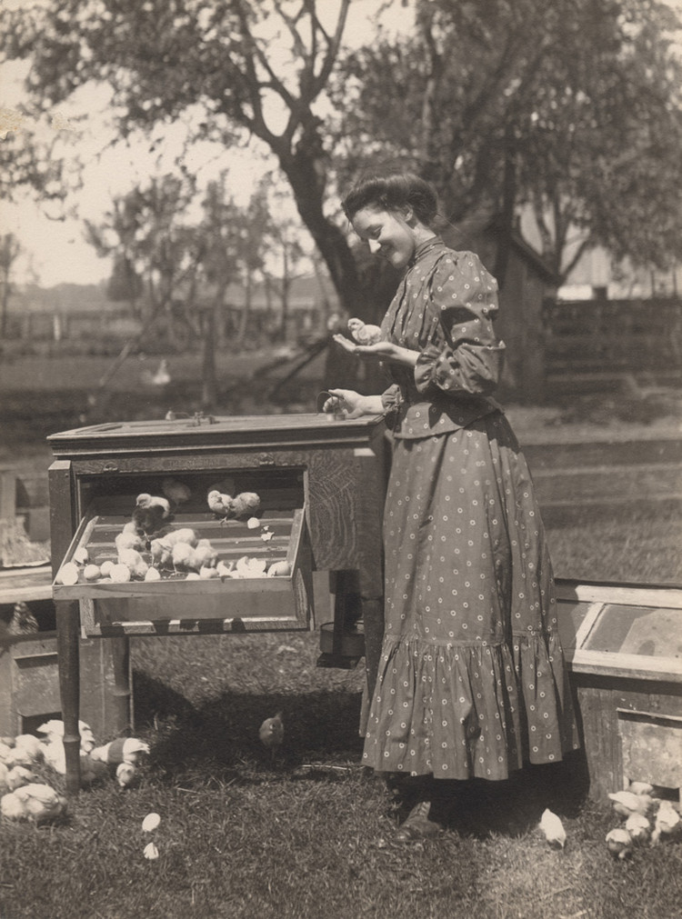 Канадцы на работе и досуге в фотографиях Рубена Р. Саллоуса в конце 19-го и начале 20-го века 38
