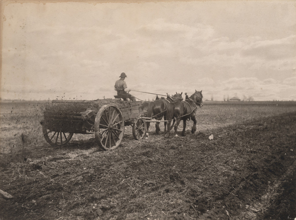 Канадцы на работе и досуге в фотографиях Рубена Р. Саллоуса в конце 19-го и начале 20-го века 48