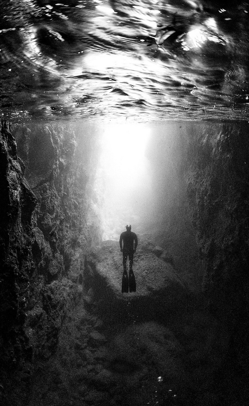 Подводное царство духозахватые чёрно-белые фотографии жизни под водой 40