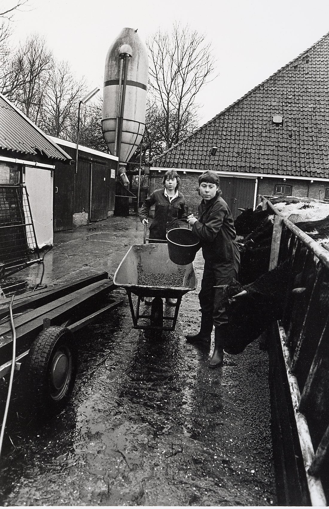 Жизнь нидерландской молодёжи в 1980-х годах в фотографиях Майи Пежич 29