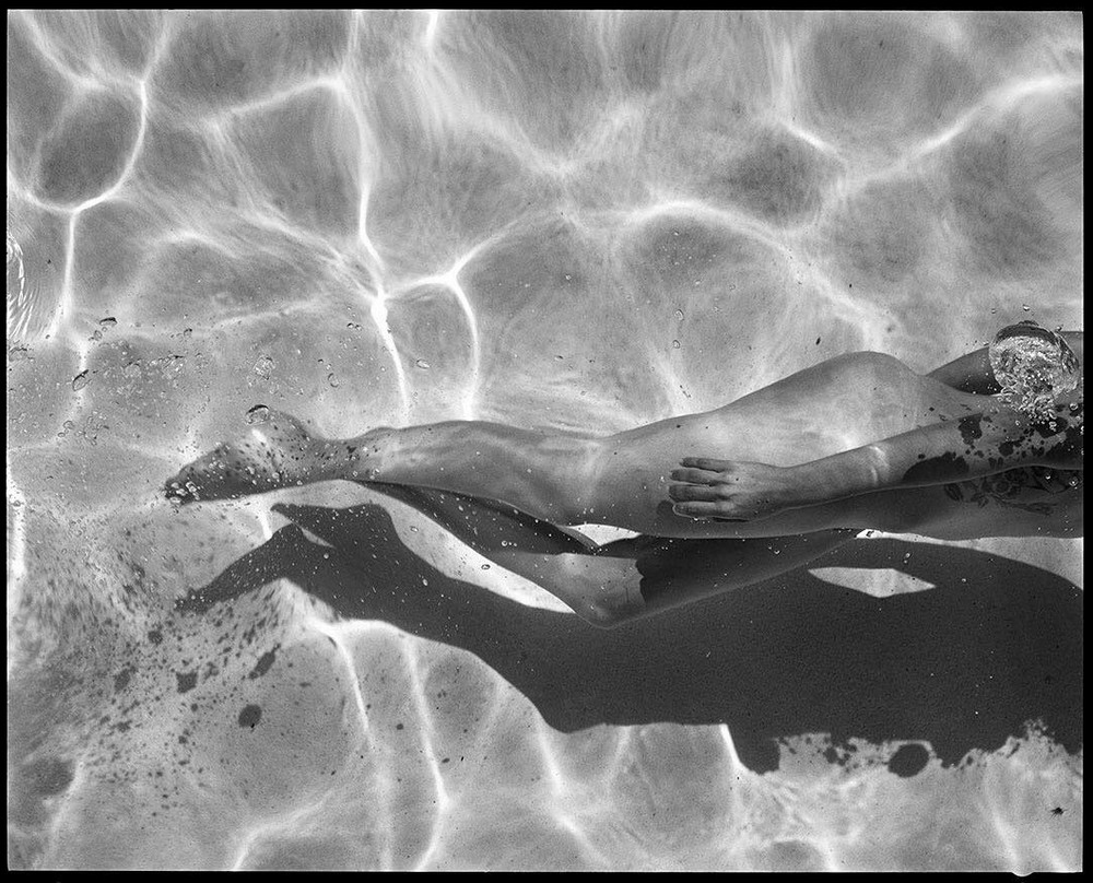 Блаженство в бассейне. Фотограф Дианна Темплтон 19