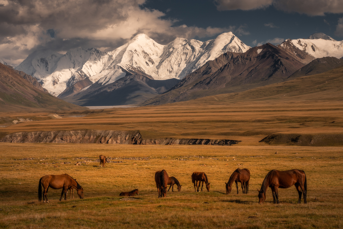 Пейзажи Киргизии, потрясшие нидерландского фотографа Альберта Дроса 1