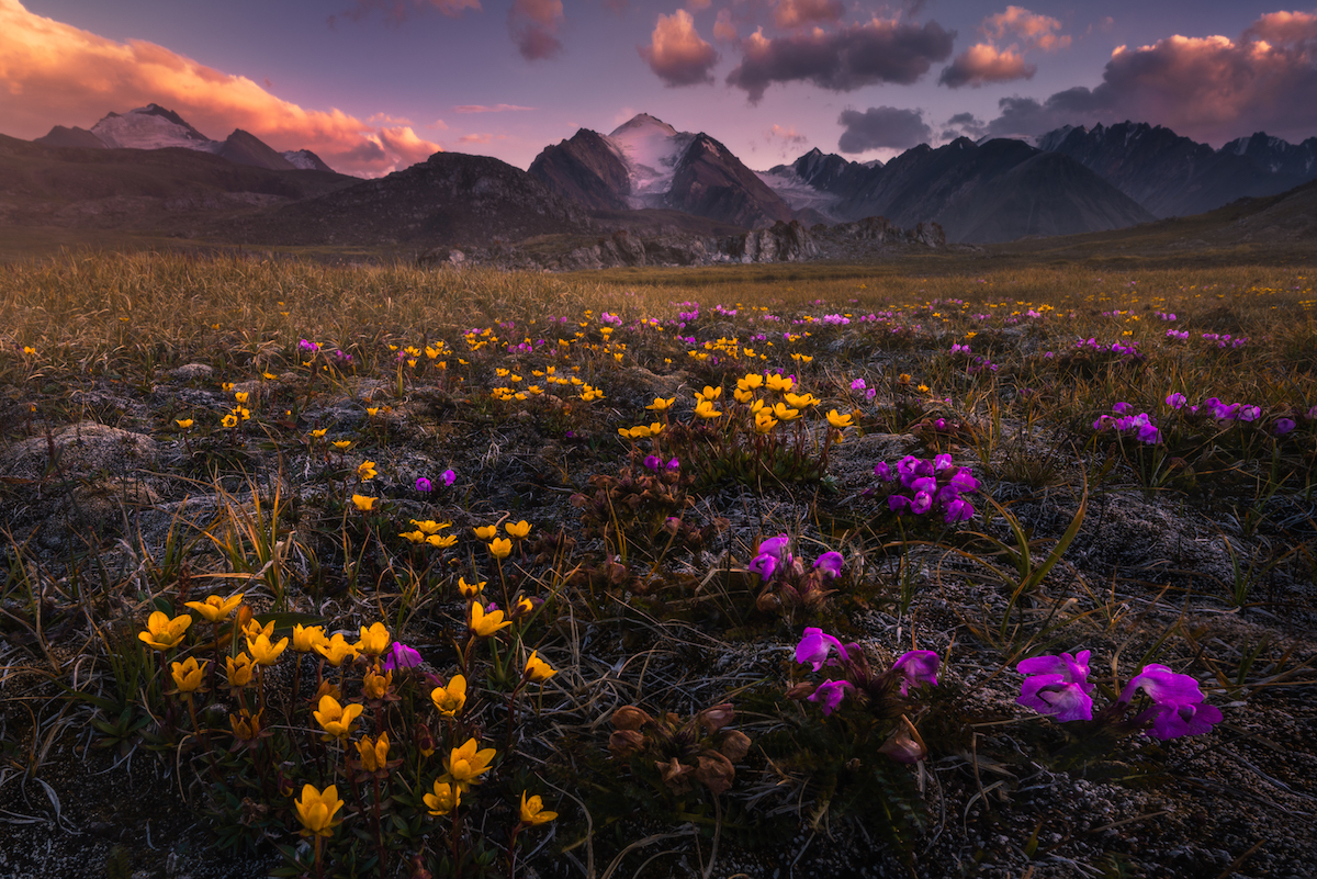 Пейзажи Киргизии, потрясшие нидерландского фотографа Альберта Дроса 11