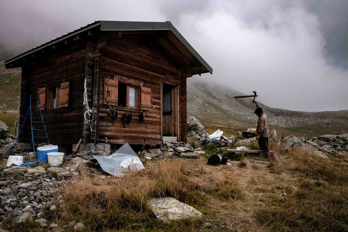 Работа мечты: как живёт пастух в Альпах 13