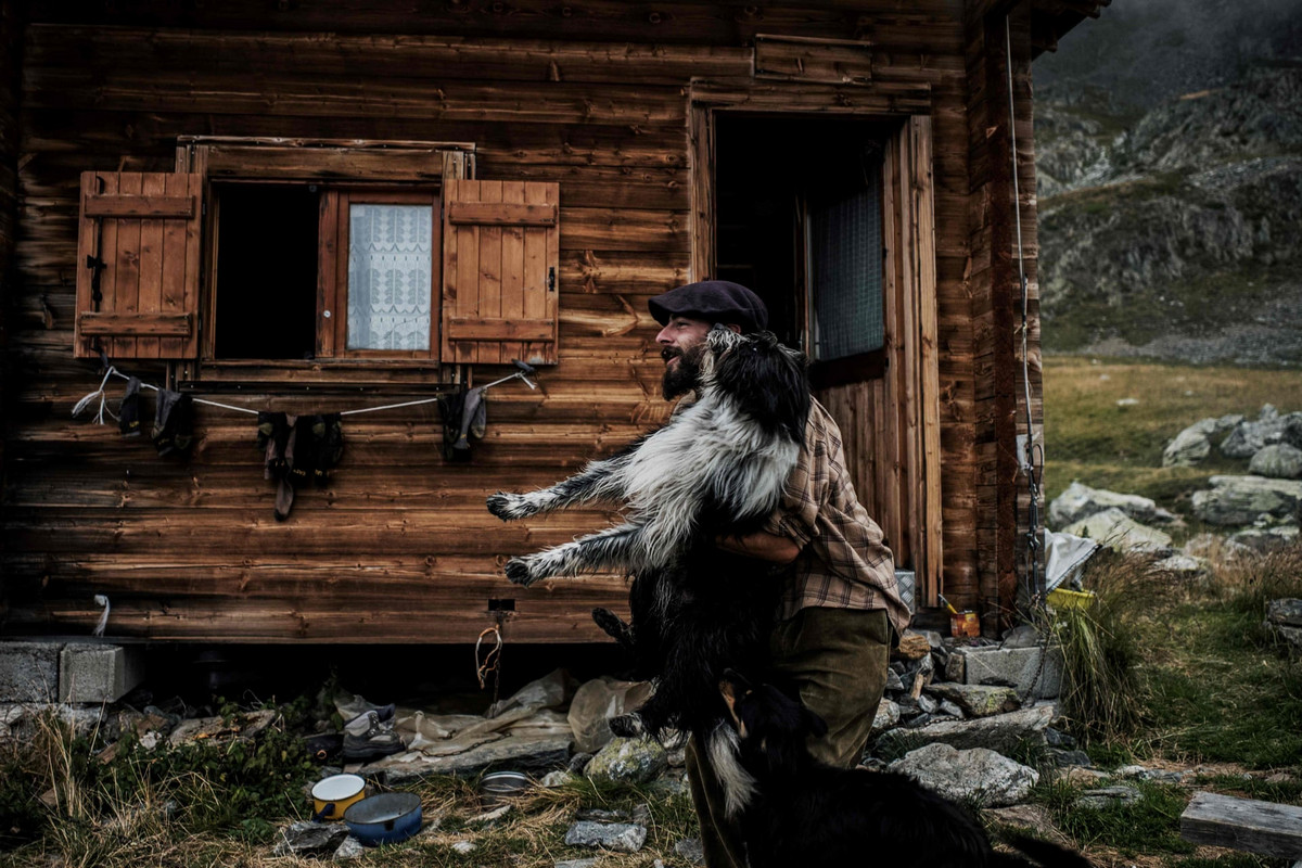 Работа мечты: как живёт пастух в Альпах 16