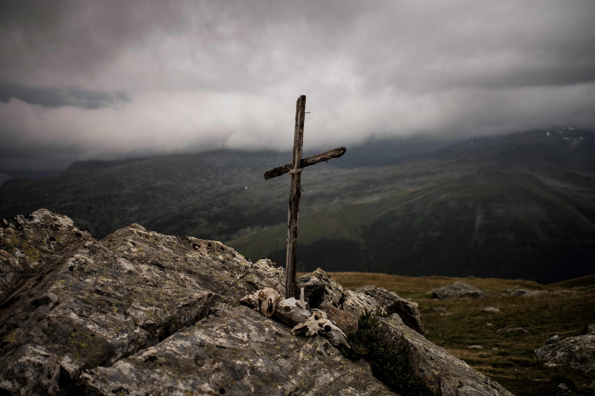 Работа мечты: как живёт пастух в Альпах 9