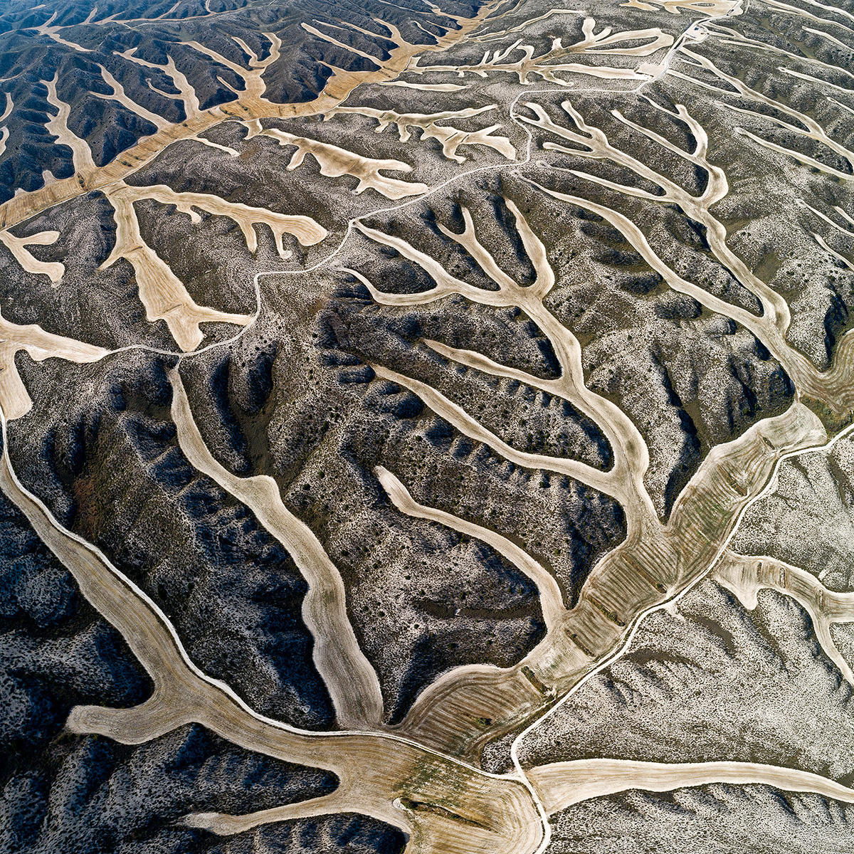 «Вода. Формы. Земля» – проект об абстрактной красоте извилистых водных путей 10