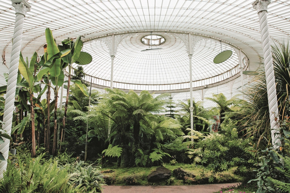 «Дуэт фотографов путешествует по миру, снимая ботанические сады, оранжереи и теплицы  3