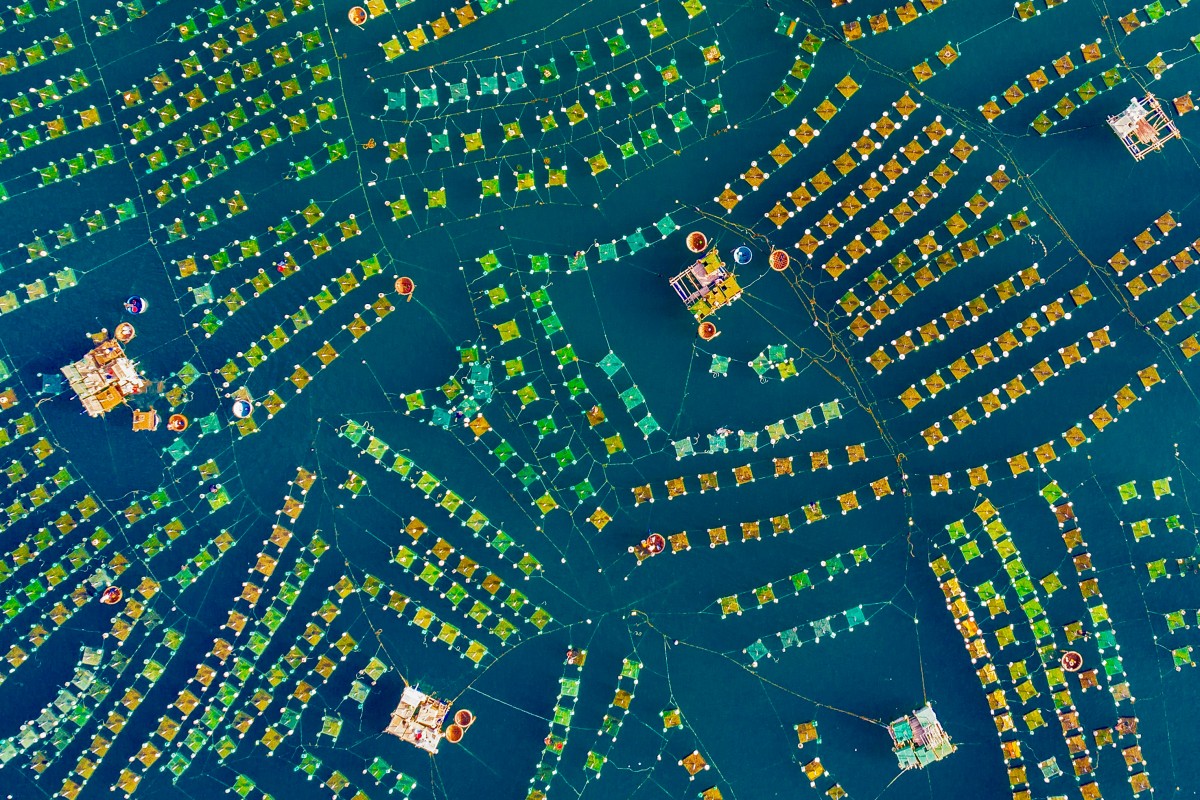 Прекрасные виды с воздуха в фотографиях победителей конкурса Dronestagram  6