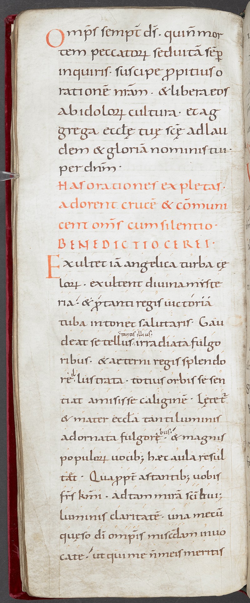 Свет из глубины веков: 800 «иллюминированных» манускриптов Средневековья в свободном доступе 10