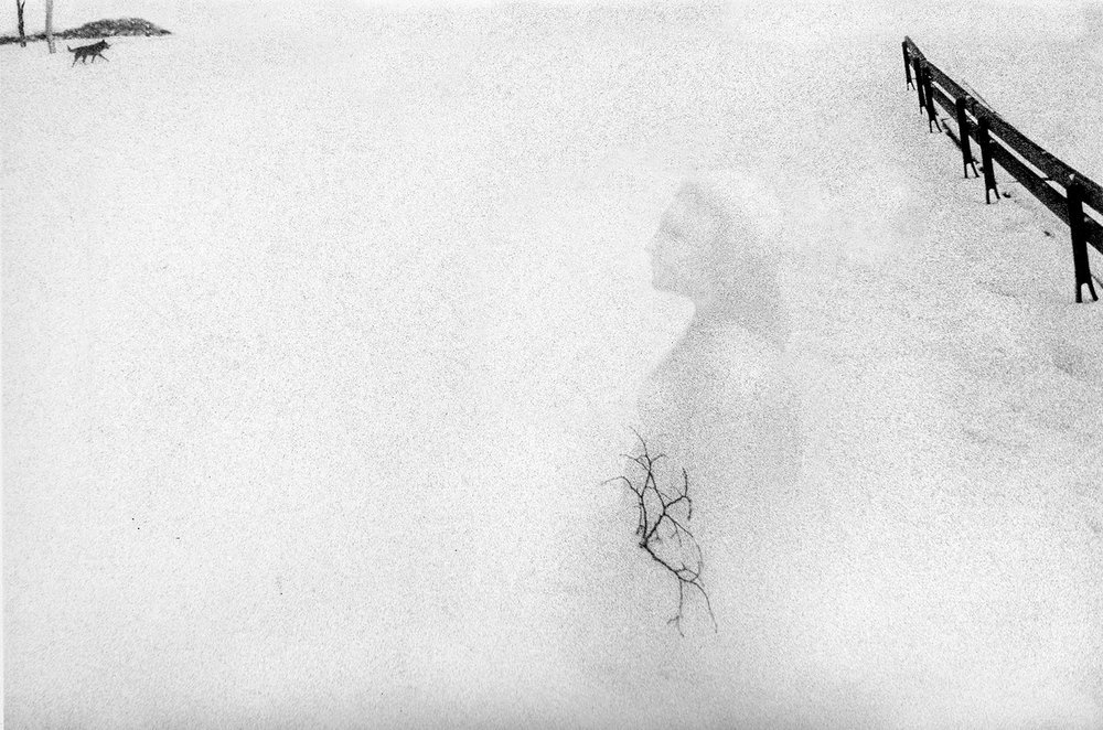 Магнетическое очарование жизни в фотографиях Кеннета Ван Сикла 43