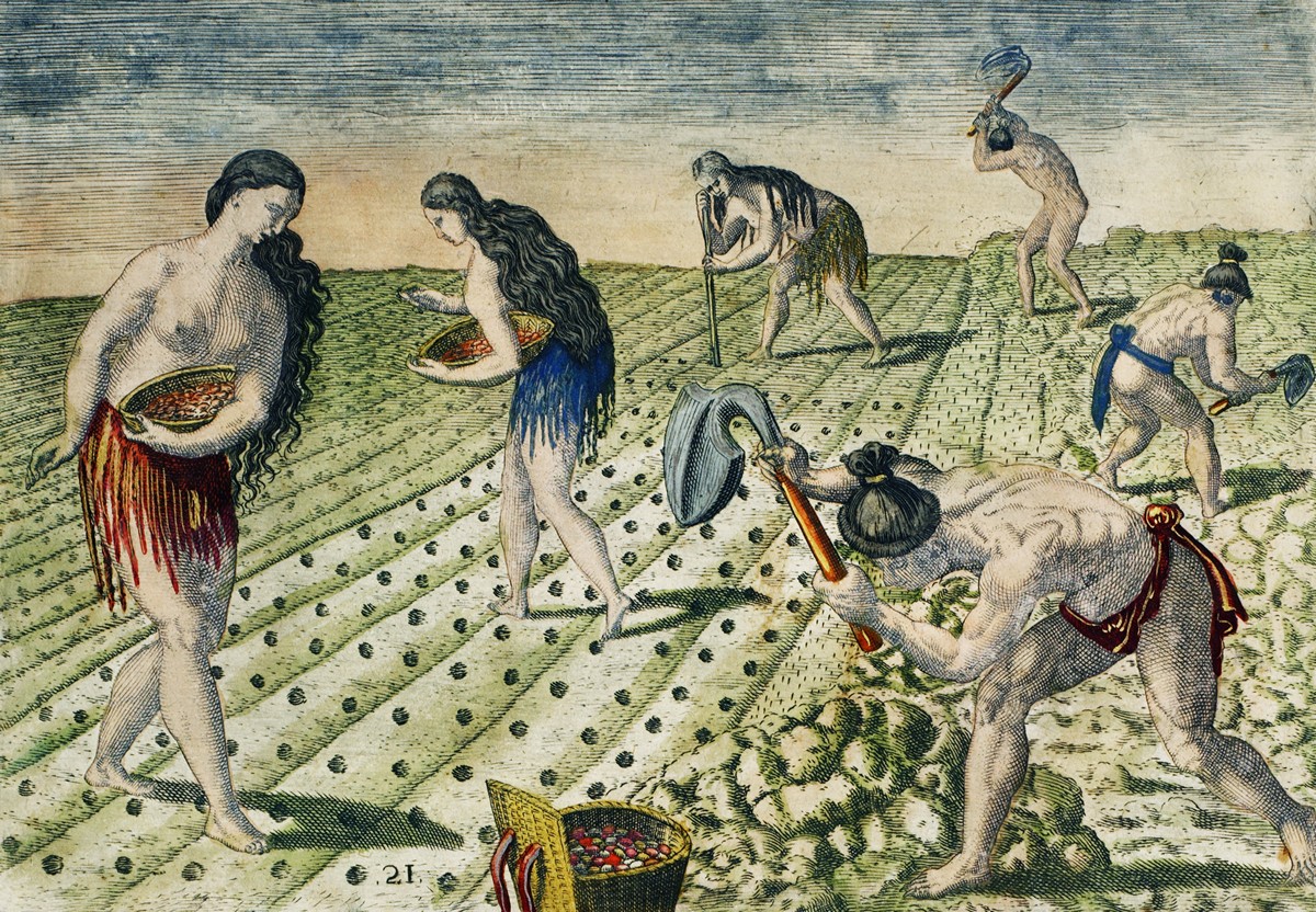 «Великие путешествия»: быт и нравы индейцев Нового Света в гравюрах Теодора де Бри 1