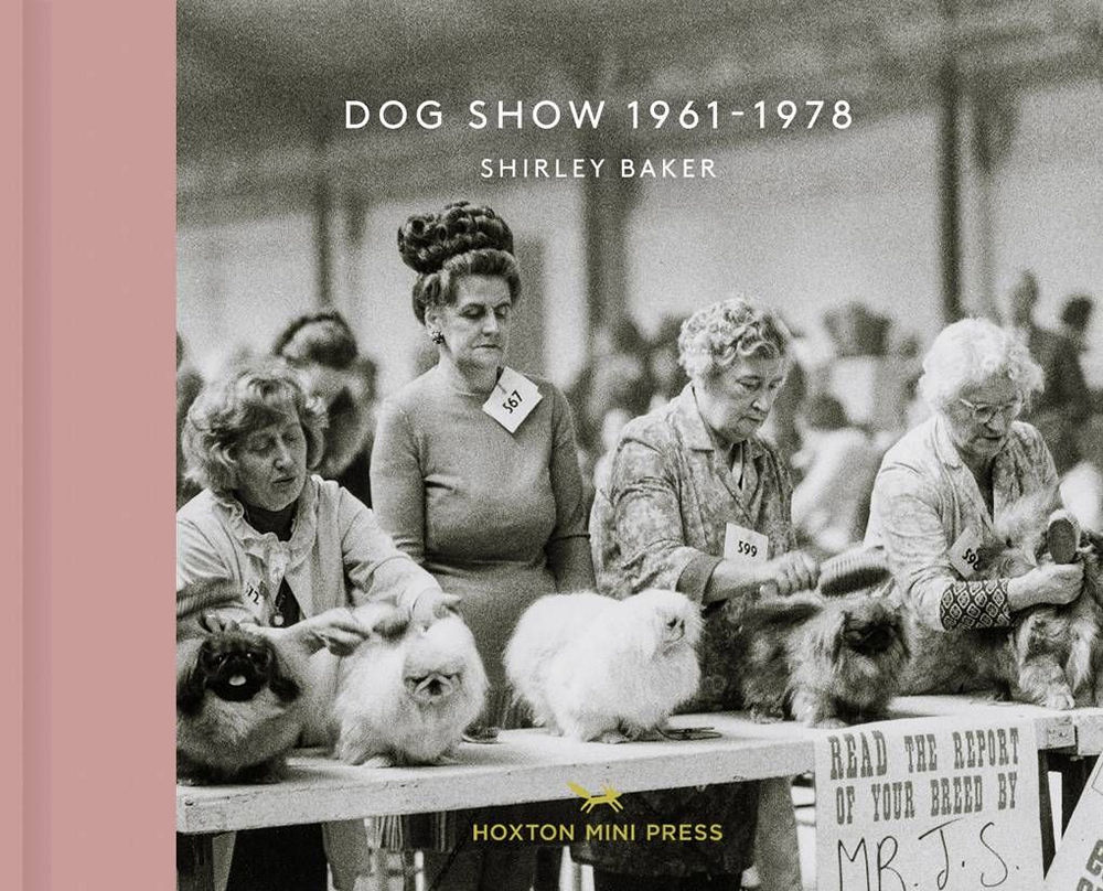 «Дай, Джим, на счастье лапу мне»: фотографии Ширли Бейкер с выставок собак 1960-70-х