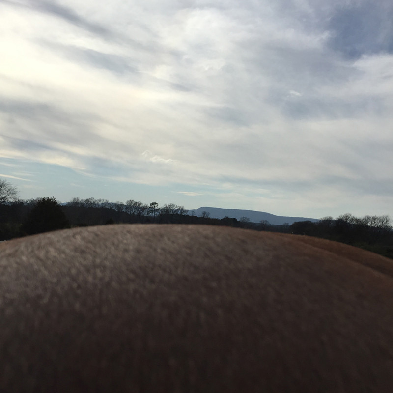 Лошадь, пейзаж, горизонт в фотопроекте Ли Дейгард 11