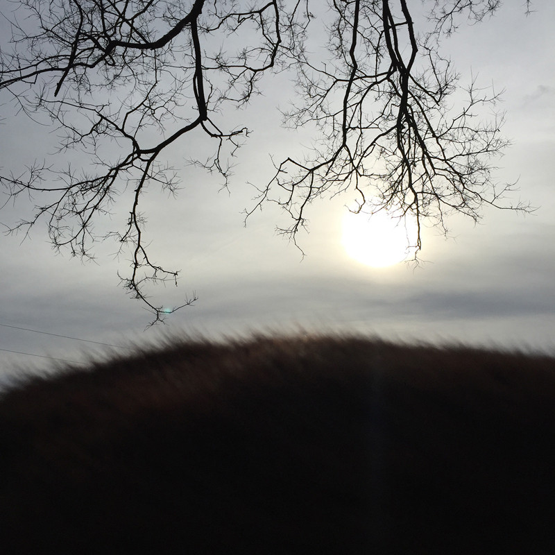 Лошадь, пейзаж, горизонт в фотопроекте Ли Дейгард 9