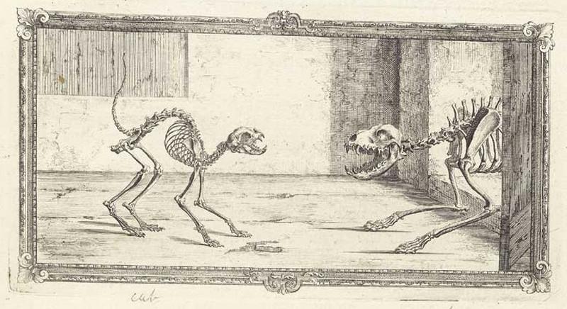 Достоверность и изящество в костях. «Остеография» Уильяма Чеселдена (1733)  3
