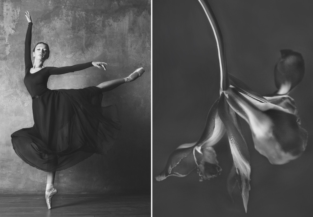 «Балерина и цветы» – серия о сходстве двух изяществ  4
