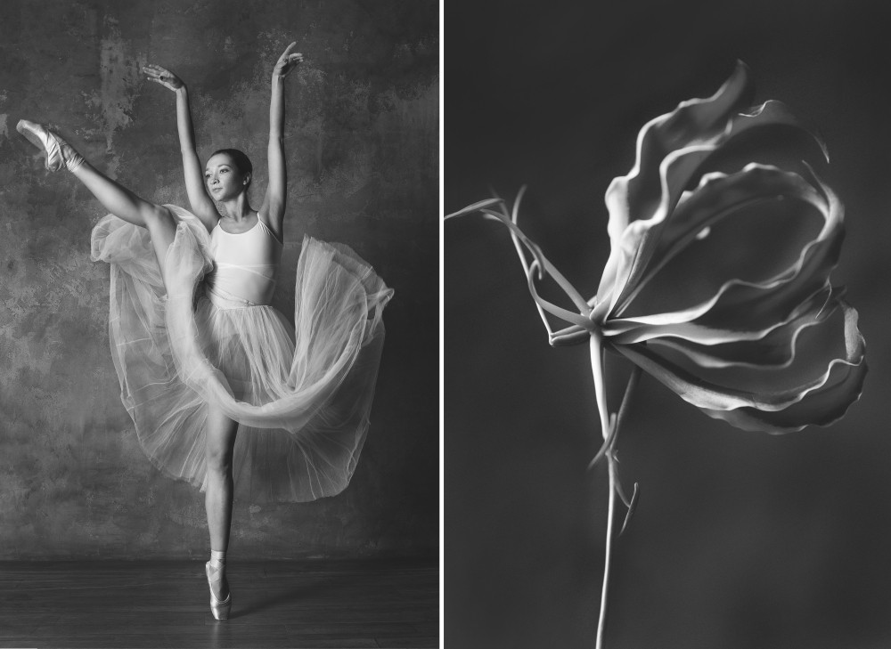 «Балерина и цветы» – серия о сходстве двух изяществ  5