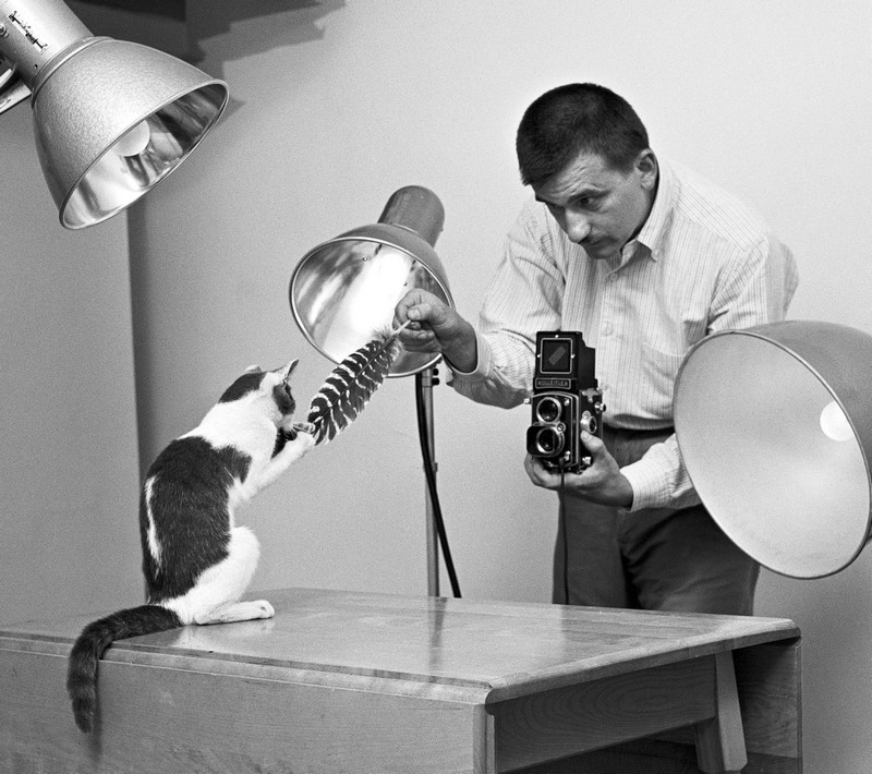 Уолтер Чандоха – человек, который 70 лет фотографировал кошек   1