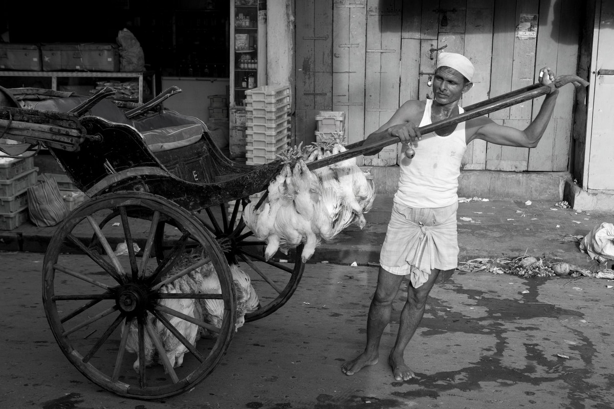 Последние рикши Калькутты в фотопроекте Палани Мохана    15